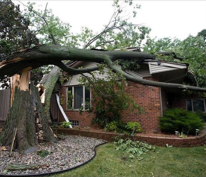 Tree that has fallen on a house after a storm.