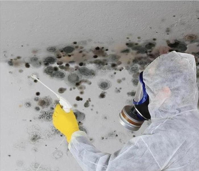 Person in full PPE spraying mold on the wall.